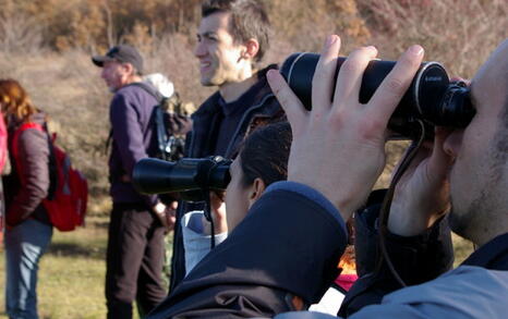 Observation of Birds at Pchelina Dam,  21 Nov. 2009