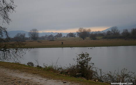 Bird watching trip to Kerkini, Greece, 19-20 December 2009