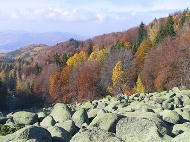 New management plan for Nature Park “Vitosha” authorizes construction works in the mountain