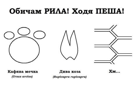 Предложения за дизайн на тениски за природата