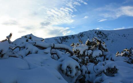 Rila's frozen lakes