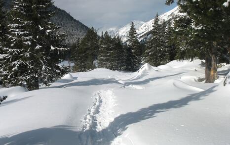 “Mountains and People” Association’s snowshoe hike in Rila 