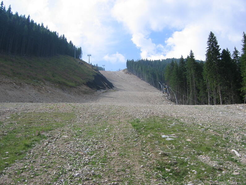 The Mayor of Bansko admitted – The World Ski Cup competitions will be held on illegally built ski runs in Pirin National Park 