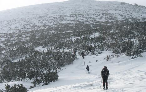 “Mountains and People” Association’s snowshoe hike in Rila 