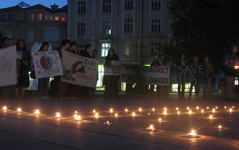 Demonstrations in Plovdiv on 14 and 21 October 2008