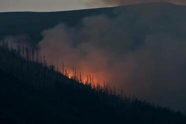 Fire safety in Vitosha Nature Park can be ensured without harming nature 