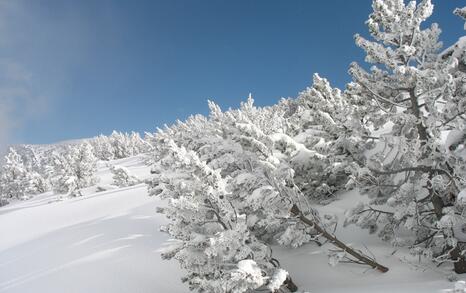 “Mountains and People” Association’s snowshoe hike in Rila 