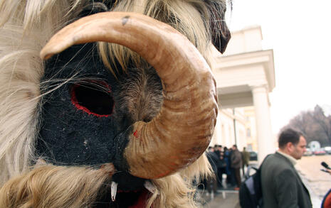 Procession for Rila and Bulgarian nature on 23 January 2008 in Sofia and Blagoevgrad