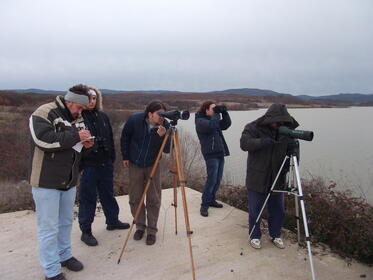 Traditional Midwinter Waterbird Census in the Eastern Rhodopes