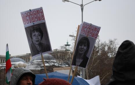 Sofia – Protest against GMO release in Bulgaria - 11.02.2010