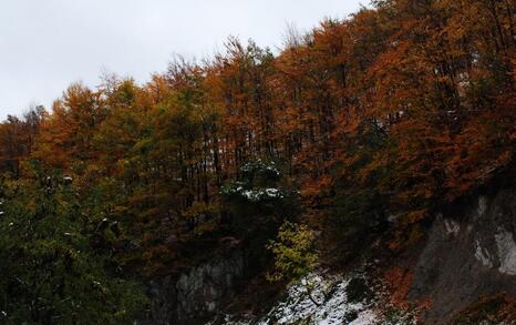 The beauty of Eastern Rhodopes