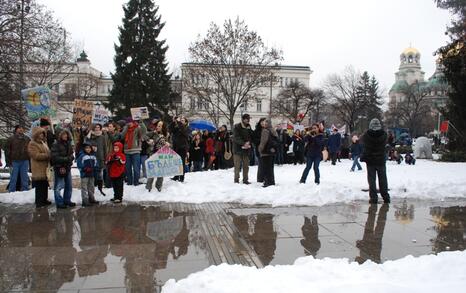 March against GMO release in Bulgaria – 31.01.2010, Sofia