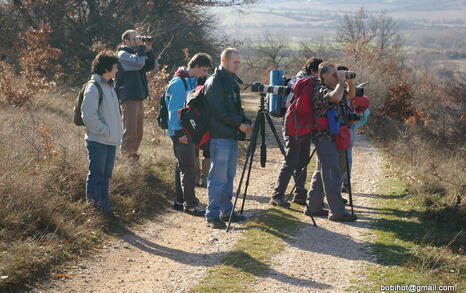 Observation of Birds at Pchelina Dam,  21 Nov. 2009