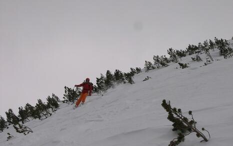 Environmentally friendly ski-tourism in Pirin National Park