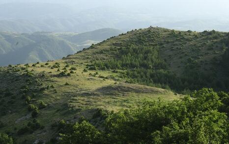 Traveling and discussing tourism in the region of Mesta and Dobrinishte