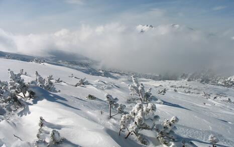 “Mountains and People” Association’s snowshoe hike in Rila 