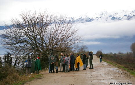 Bird watching trip to Kerkini, Greece, 19-20 December 2009