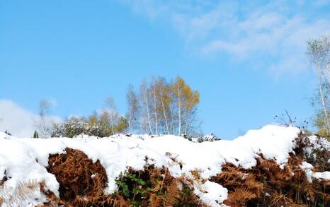 The beauty of Eastern Rhodopes