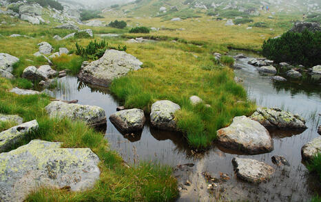 National hike 'I love rila, I walk' - 12-16 August 2009