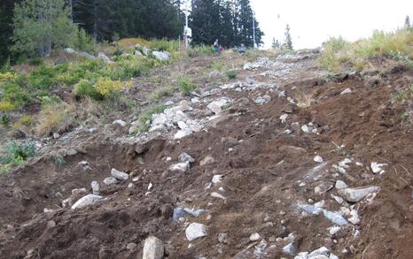 The stony rivers on Vitosha destroyed