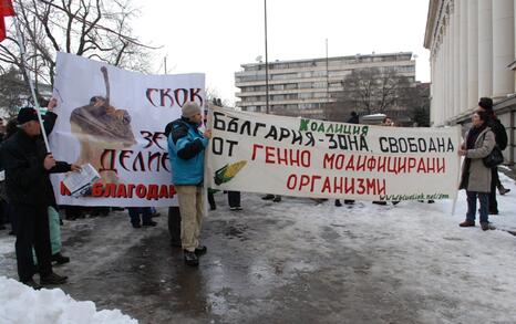 March against GMO release in Bulgaria – 31.01.2010, Sofia