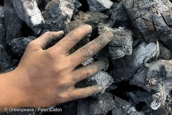 Buried secrets of coal