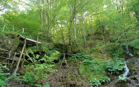 Nature park 'Strandzha', Bulgaria