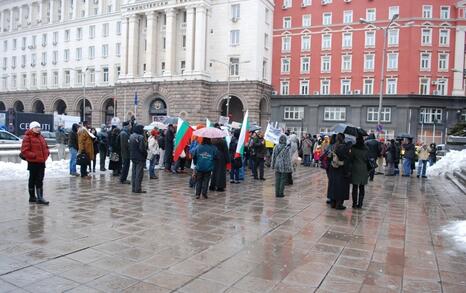 Sofia – Protest against GMO release in Bulgaria - 11.02.2010