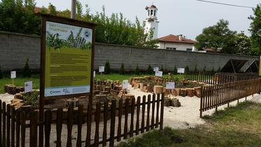 Bio spice-garden is created in front of the home of the white stork in Belozem 