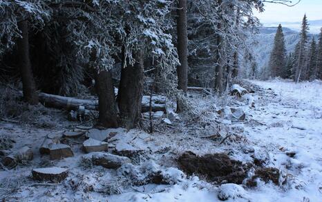 Rila's frozen lakes