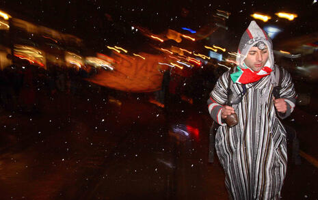 Procession for Rila and Bulgarian nature on 23 January 2008 in Sofia and Blagoevgrad