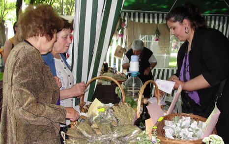 ПЪРВИ БУРГАСКИ ЗЕЛЕН ФЕСТИВАЛ