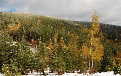 The beauty of Eastern Rhodopes