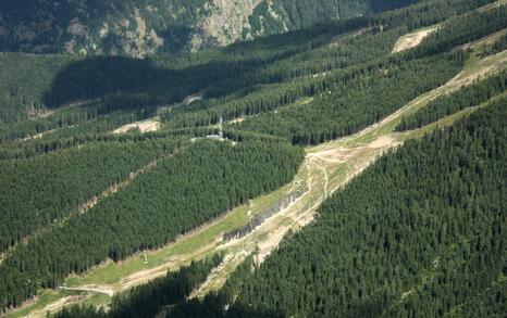 Views from Pirin National Park