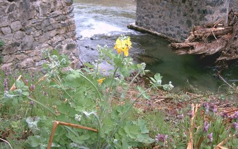 Nature park 'Strandzha', Bulgaria