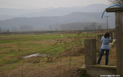 Bird watching trip to Kerkini, Greece, 19-20 December 2009