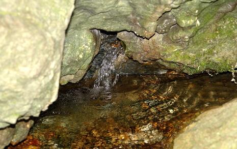 Nature park 'Strandzha', Bulgaria