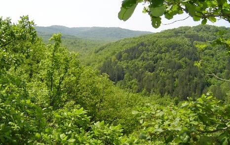 Природен парк Странджа