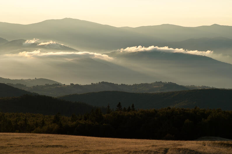 Protected areas in Romania without custodians and protection?