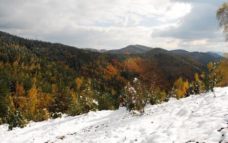 The beauty of Eastern Rhodopes