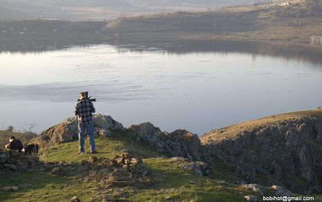 Observation of Birds at Pchelina Dam,  21 Nov. 2009