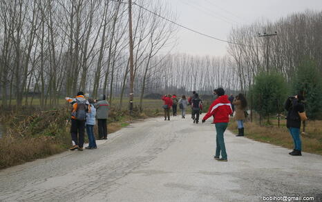 Bird watching trip to Kerkini, Greece, 19-20 December 2009