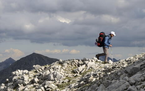 Views from Pirin National Park