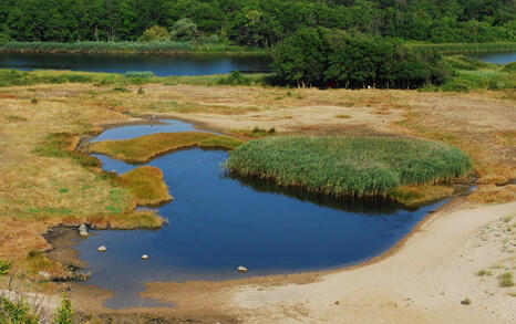 The beauty of our south sea coast