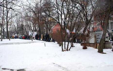 March against GMO release in Bulgaria – 31.01.2010, Sofia