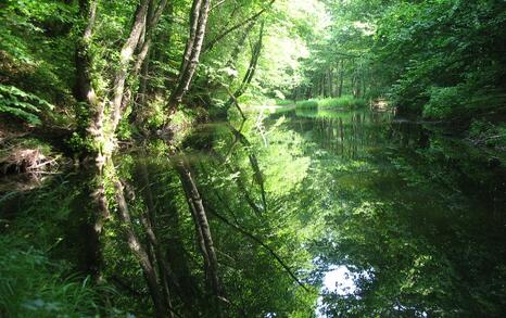 Nature park 'Strandzha', Bulgaria