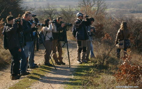 Observation of Birds at Pchelina Dam,  21 Nov. 2009