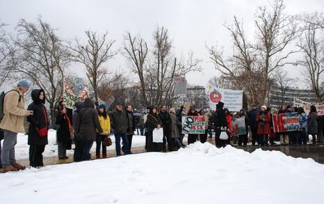 March against GMO release in Bulgaria – 31.01.2010, Sofia