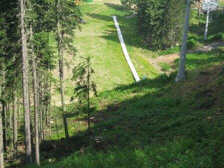 The project for new management plan of Pirin National park includes 333 km of ski slopes and 28 times increase of the timber extraction