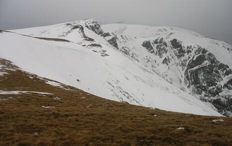 Winter 5-day hike of tourist club 'Prista'-Ruse and friends of the ForTheNature Coalition in Central Balkan National Park